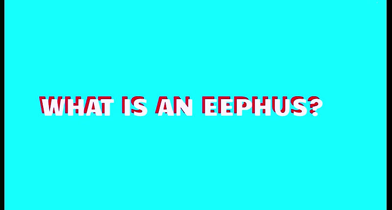 What is an Eephus?